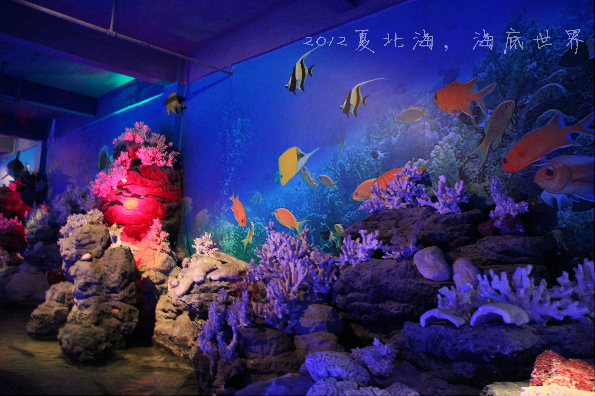 北海_北海天气_北海涠洲岛旅游攻略自由行