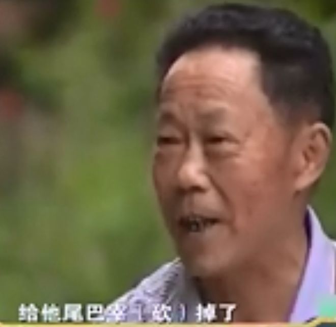 武夷山_武夷山在哪个省_武夷山一日游最佳路线