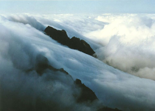 黄山怪石和黄山奇松_黄山_黄山风景区黄山宾馆