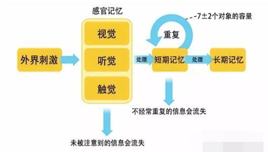 记忆：_记忆力不好吃什么_记忆的方法图像记忆