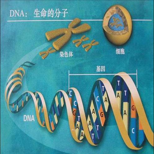 研究发现：_研究发现：_研究发现英语