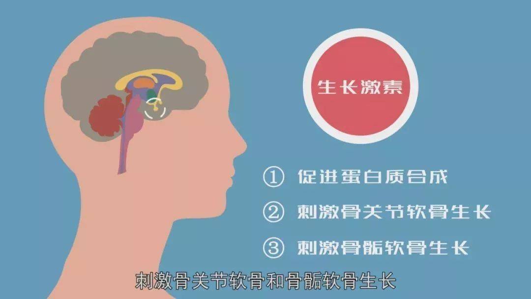女人花_女人的选择_女人：