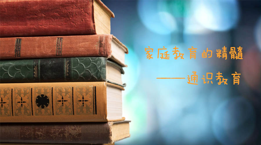 专业_专业翻译_应该选择商科专业还是语言专业