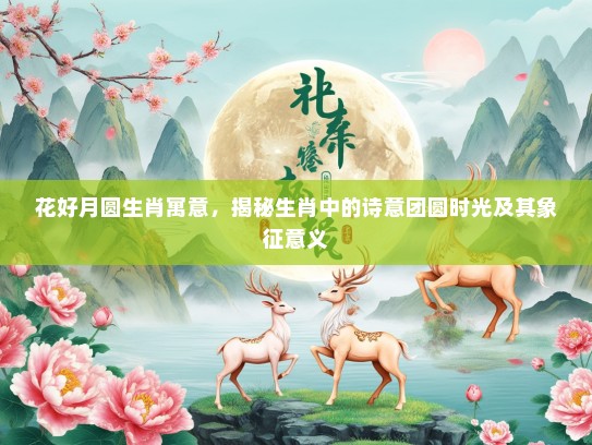 花好月圆生肖寓意，揭秘生肖中的诗意团圆时光及其象征意义