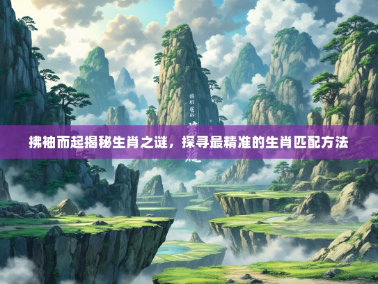 拂袖而起揭秘生肖之谜，探寻最精准的生肖匹配方法