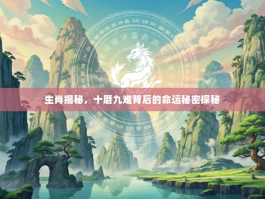 生肖揭秘，十磨九难背后的命运秘密探秘