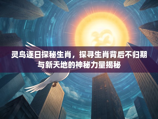 灵鸟逐日探秘生肖，探寻生肖背后不归期与新天地的神秘力量揭秘