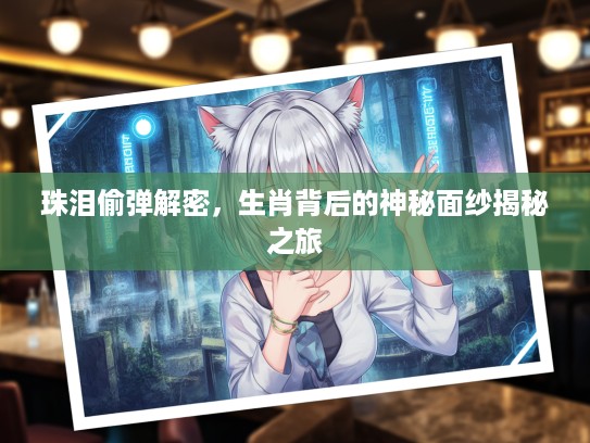 珠泪偷弹解密，生肖背后的神秘面纱揭秘之旅