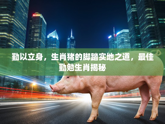 勤以立身，生肖猪的脚踏实地之道，最佳勤勉生肖揭秘