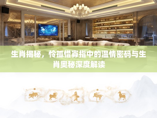 生肖揭秘，怜孤惜寡指中的温情密码与生肖奥秘深度解读