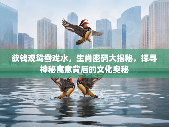 欲钱观鸳鸯戏水，生肖密码大揭秘，探寻神秘寓意背后的文化奥秘