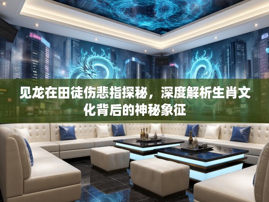 见龙在田徒伤悲指探秘，深度解析生肖文化背后的神秘象征