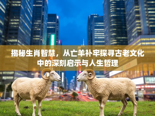揭秘生肖智慧，从亡羊补牢探寻古老文化中的深刻启示与人生哲理