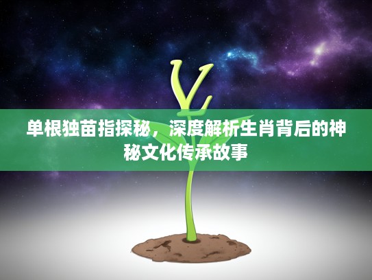单根独苗指探秘，深度解析生肖背后的神秘文化传承故事