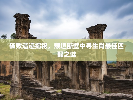 破败遗迹揭秘，颓垣断壁中寻生肖最佳匹配之谜