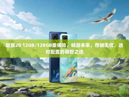 魅族20 12GB/128GB版体验，畅游未来，存储无忧，选对配置的明智之选