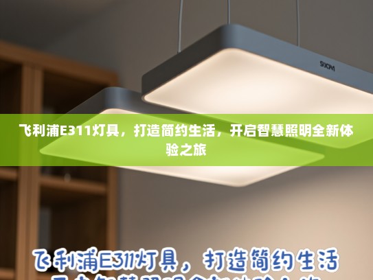 飞利浦E311灯具，打造简约生活，开启智慧照明全新体验之旅
