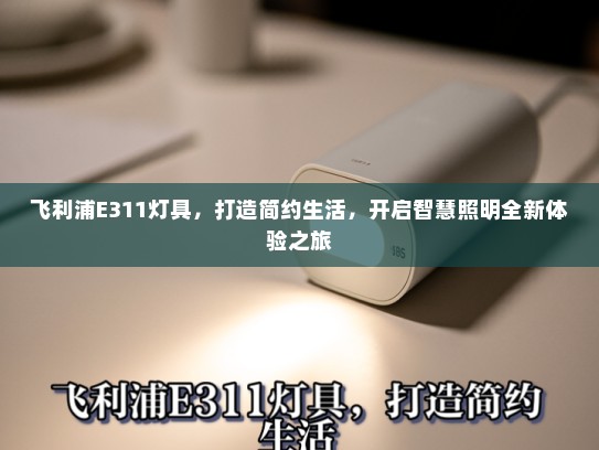 飞利浦E311灯具，打造简约生活，开启智慧照明全新体验之旅