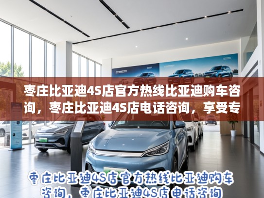 枣庄比亚迪4S店KTV热线比亚迪购车咨询，枣庄比亚迪4S店电话咨询，享受专业服务，开启绿色出行之旅