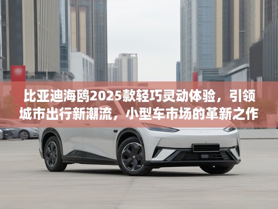 比亚迪海鸥2025款轻巧灵动体验，引领城市出行新潮流，小型车市场的革新之作