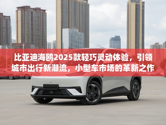 比亚迪海鸥2025款轻巧灵动体验，引领城市出行新潮流，小型车市场的革新之作