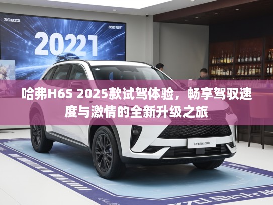哈弗H6S 2025款试驾体验，畅享驾驭速度与激情的全新升级之旅