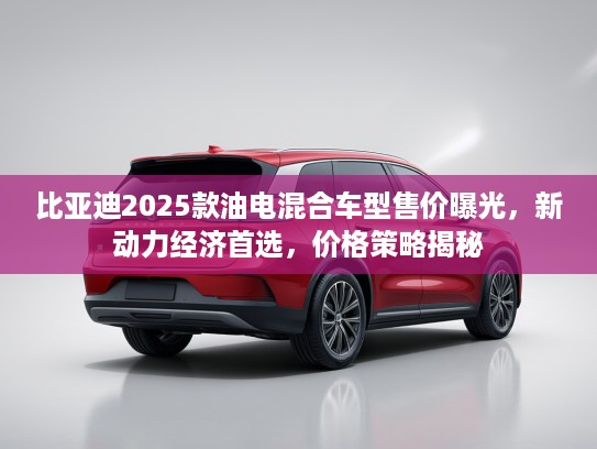 比亚迪2025款油电混合车型售价曝光，新动力经济首选，价格策略揭秘