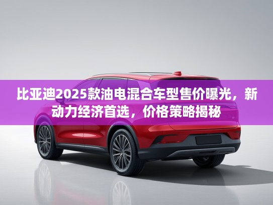 比亚迪2025款油电混合车型售价曝光，新动力经济首选，价格策略揭秘