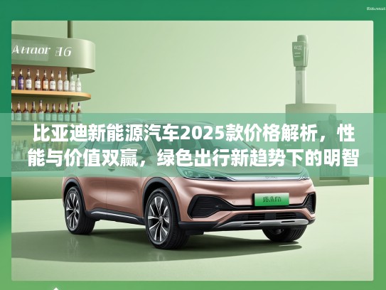 比亚迪新能源汽车2025款价格解析，性能与价值双赢，绿色出行新趋势下的明智之选
