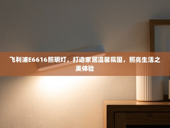 飞利浦E6616照明灯，打造家居温馨氛围，照亮生活之美体验