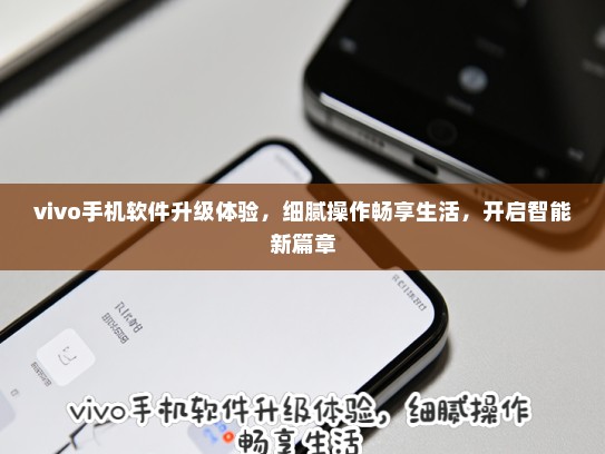 vivo手机软件升级体验，细腻操作畅享生活，开启智能新篇章