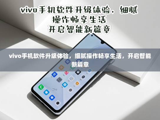 vivo手机软件升级体验，细腻操作畅享生活，开启智能新篇章