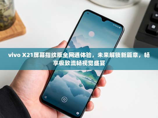 vivo X21屏幕指纹版全网通体验，未来解锁新篇章，畅享极致流畅视觉盛宴
