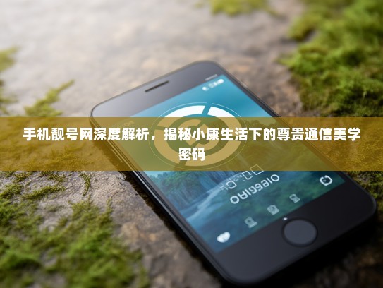 手机靓号网深度解析，揭秘小康生活下的尊贵通信美学密码