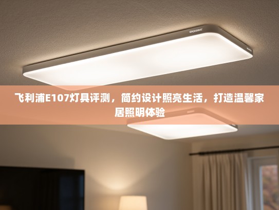 飞利浦E107灯具评测，简约设计照亮生活，打造温馨家居照明体验