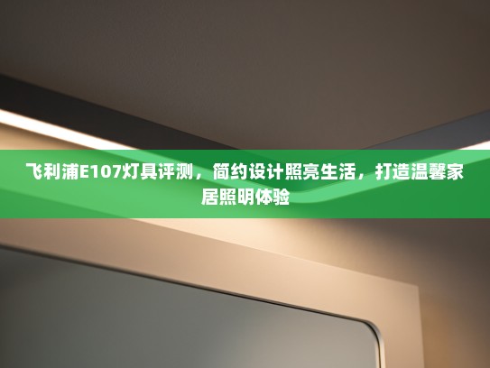 飞利浦E107灯具评测，简约设计照亮生活，打造温馨家居照明体验