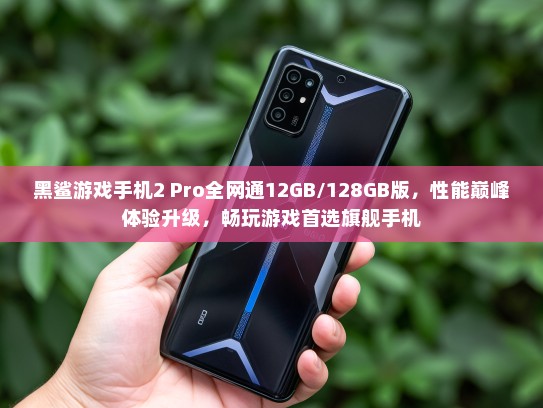 黑鲨游戏手机2 Pro全网通12GB/128GB版，性能巅峰体验升级，畅玩游戏首选旗舰手机