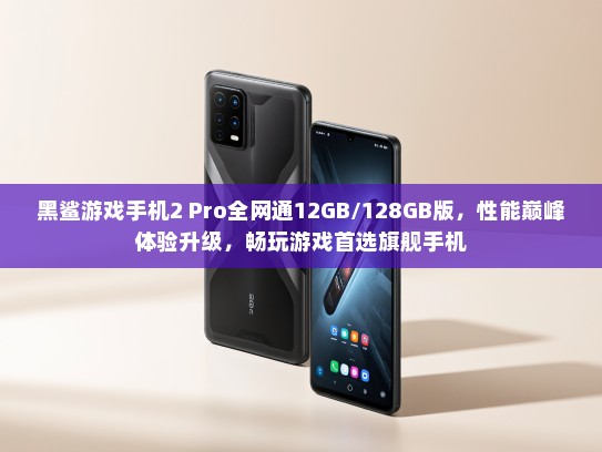 黑鲨游戏手机2 Pro全网通12GB/128GB版，性能巅峰体验升级，畅玩游戏首选旗舰手机