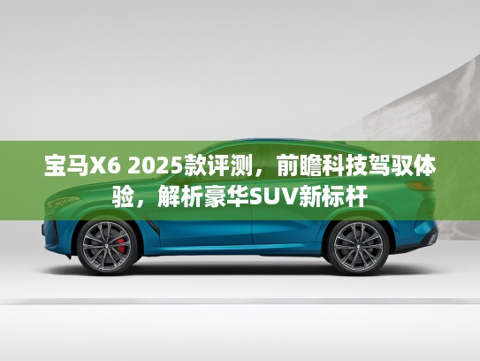 宝马X6 2025款评测，前瞻科技驾驭体验，解析豪华SUV新标杆