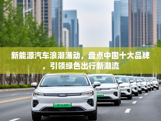 新能源汽车浪潮涌动，盘点中国十大品牌，引领绿色出行新潮流