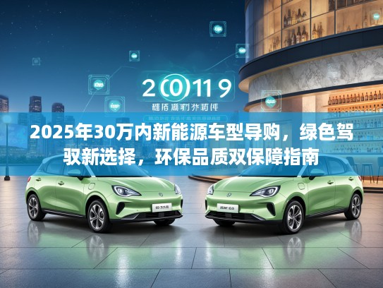 2025年30万内新能源车型导购，绿色驾驭新选择，环保品质双保障指南