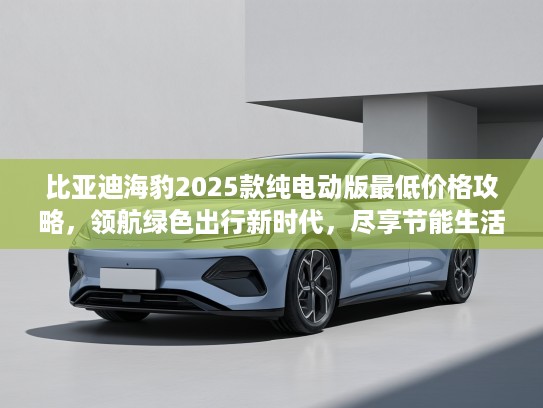 比亚迪海豹2025款纯电动版最低价格攻略，领航绿色出行新时代，尽享节能生活新体验