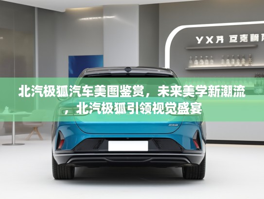 北汽极狐汽车美图鉴赏，未来美学新潮流，北汽极狐引领视觉盛宴