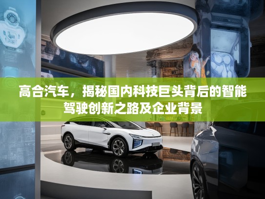 高合汽车，揭秘国内科技巨头背后的智能驾驶创新之路及企业背景