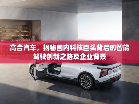 高合汽车，揭秘国内科技巨头背后的智能驾驶创新之路及企业背景