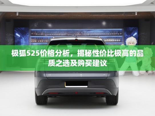 极狐525价格分析，揭秘性价比极高的品质之选及购买建议