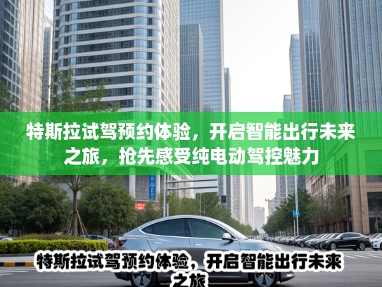 特斯拉试驾预约体验，开启智能出行未来之旅，抢先感受纯电动驾控魅力