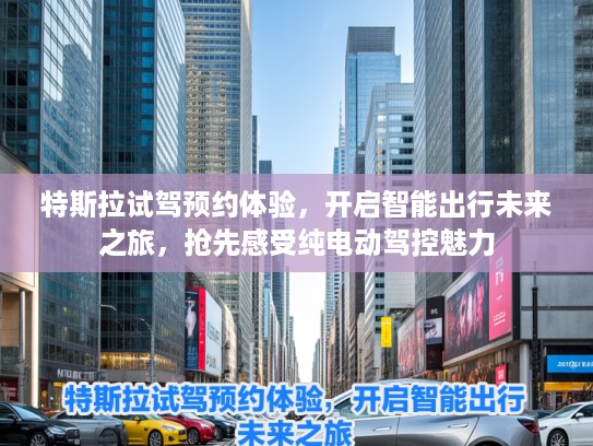 特斯拉试驾预约体验，开启智能出行未来之旅，抢先感受纯电动驾控魅力