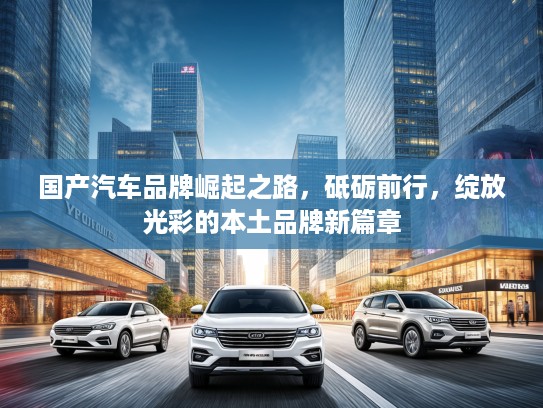国产汽车品牌崛起之路，砥砺前行，绽放光彩的本土品牌新篇章