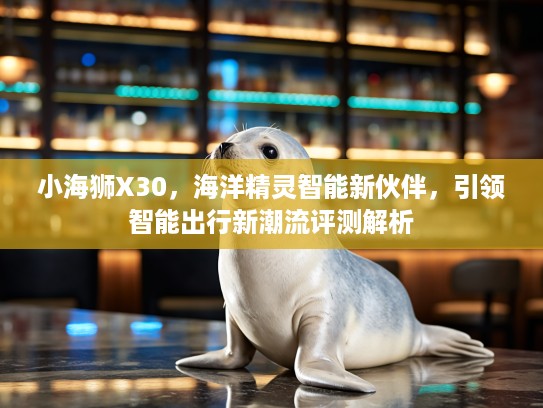 小海狮X30，海洋精灵智能新伙伴，引领智能出行新潮流评测解析